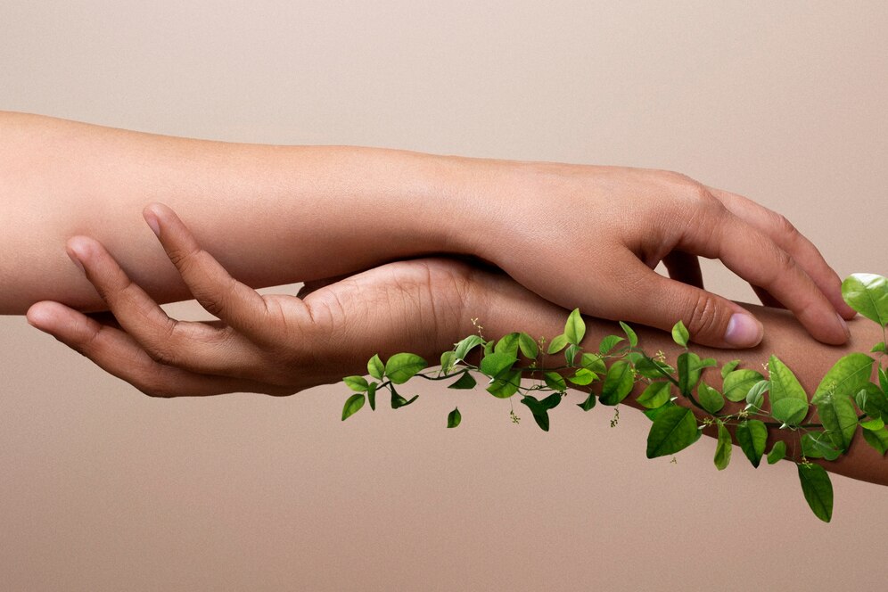 How to Design a Natural Medicine Garden for Healing and Sustainability